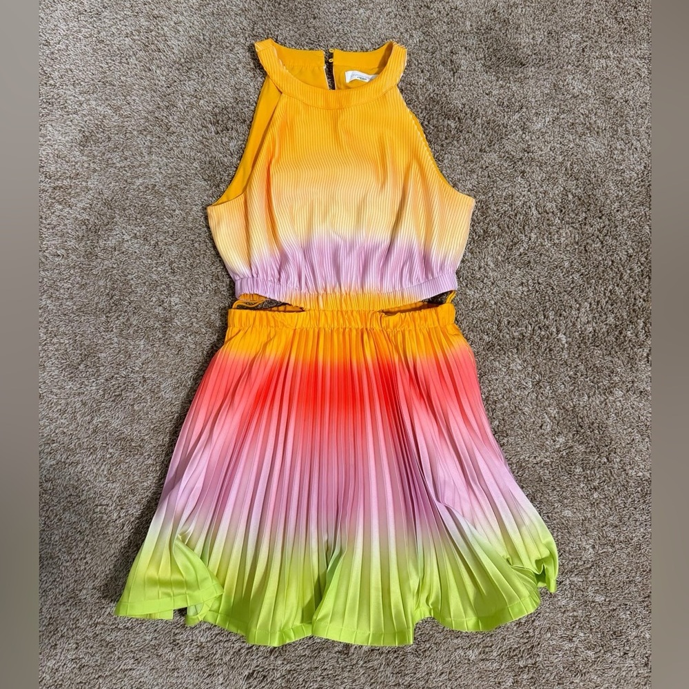 Simkhai Ombré Mini Dress